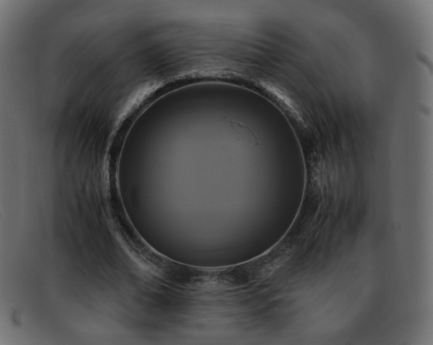 X0000093370678200710111437