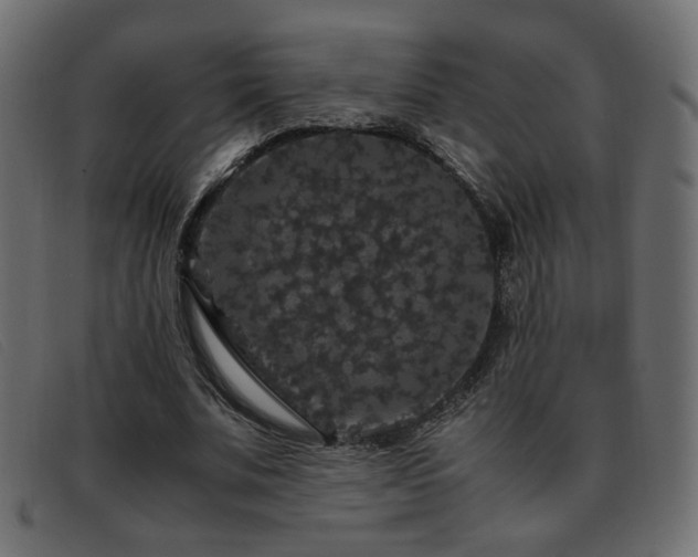 X0000093370679200710111437