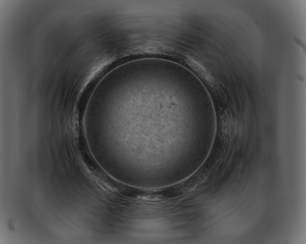 X0000093370680200710111437