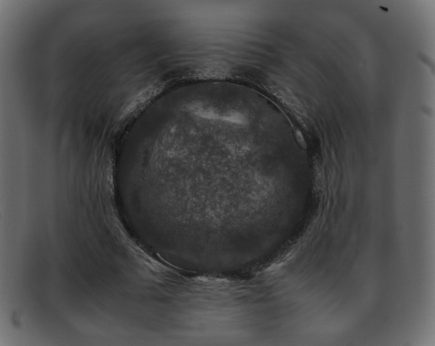 X0000093370681200710111437