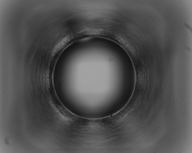 X0000093370682200710111437