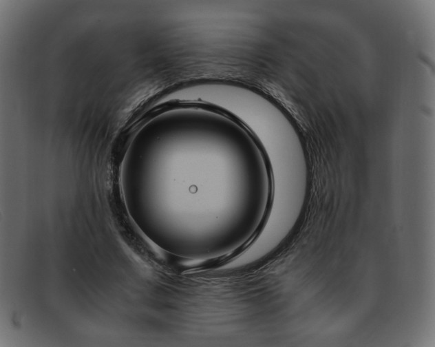X0000093370683200710111437