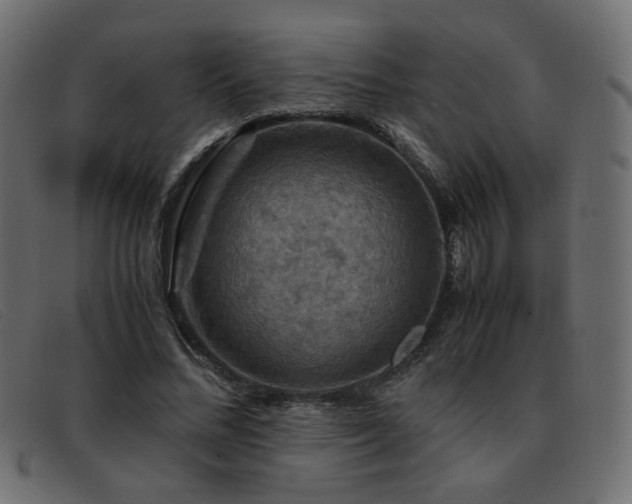 X0000093370684200710111437