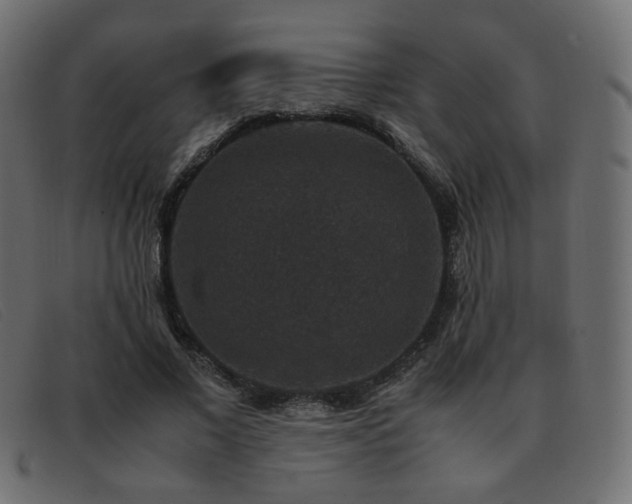 X0000093370685200710111437