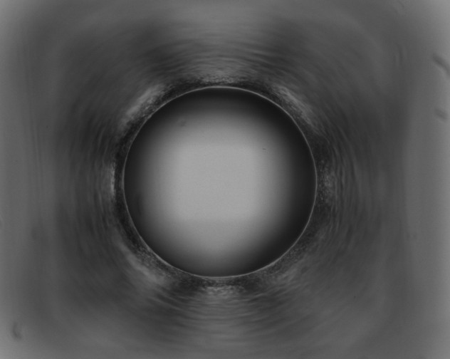 X0000093370686200710111437