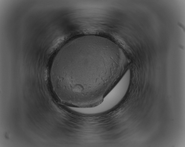 X0000093370687200710111437