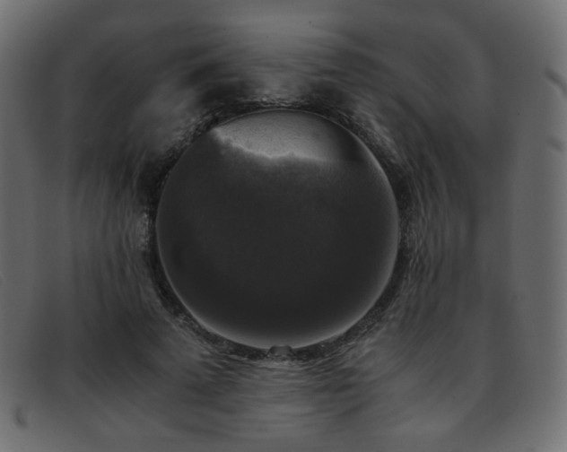 X0000093370689200710111437