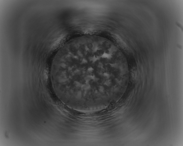 X0000093370691200710111437