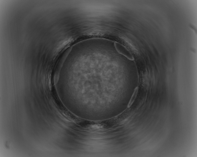 X0000093370692200710111437
