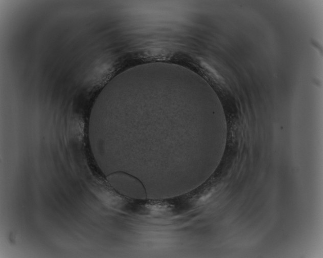 X0000093370693200710111437