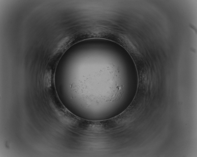X0000093370694200710111437