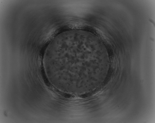 X0000093370695200710111437