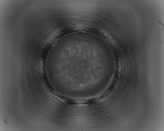 X0000093370696200710111437
