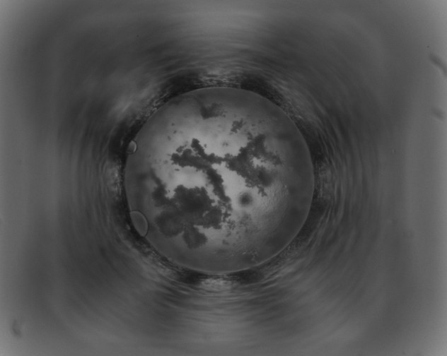 X0000093370699200710111437