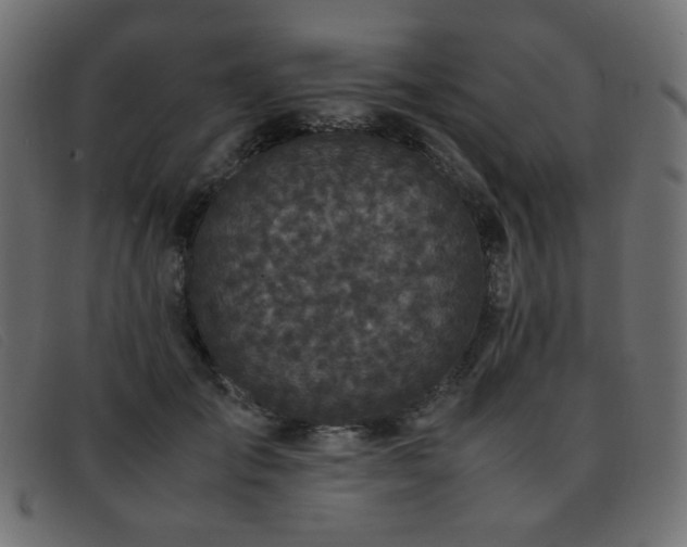 X0000093370701200710111437