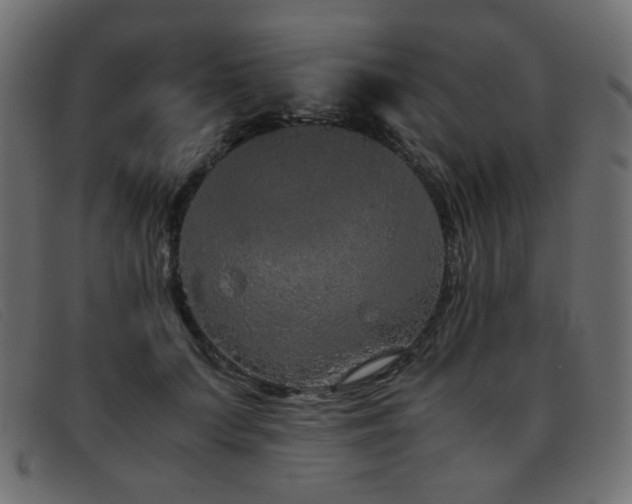 X0000093370703200710111436