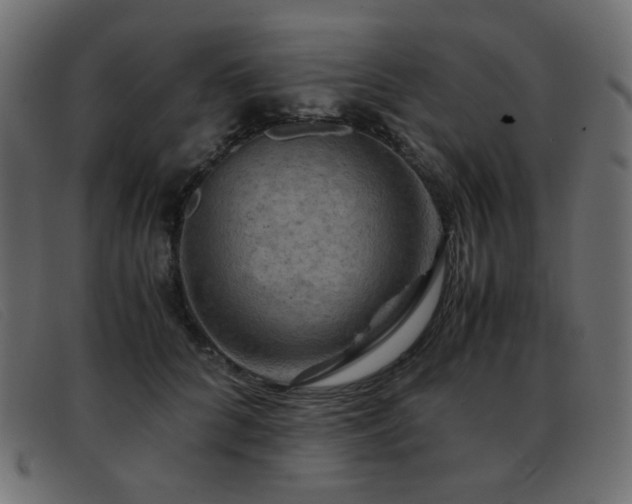 X0000093370704200710111436