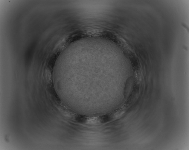 X0000093370705200710111436