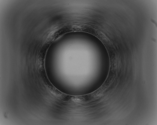 X0000093370706200710111436