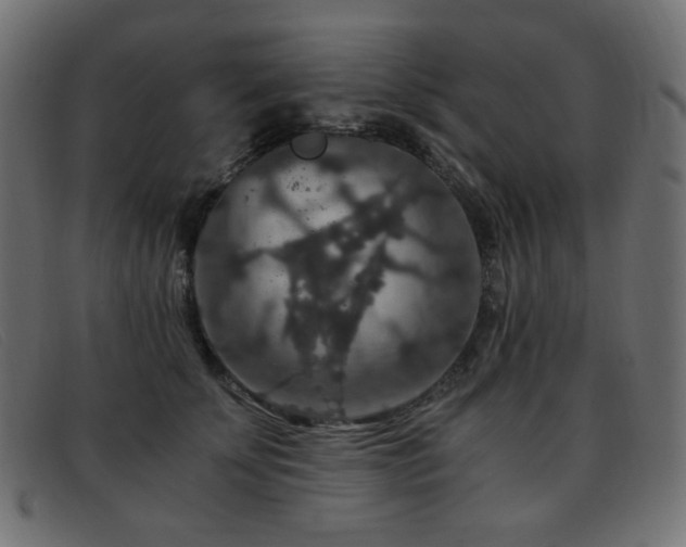 X0000093370707200710111436