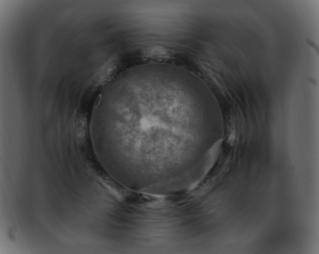 X0000093370708200710111436