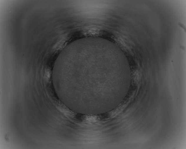 X0000093370709200710111436