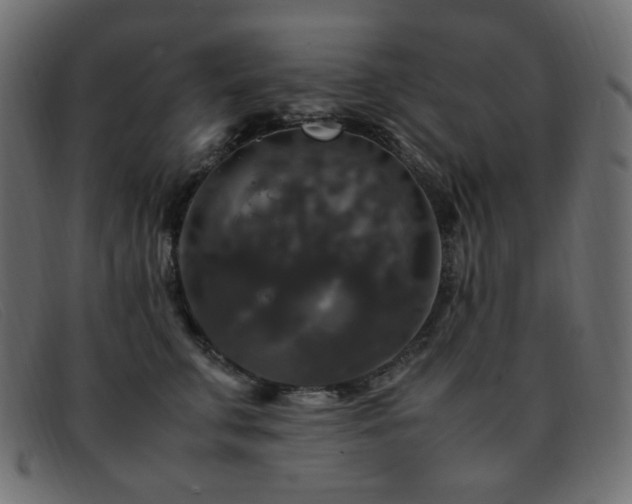 X0000093370711200710111436