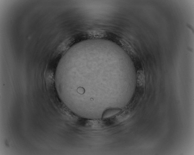 X0000093370713200710111436