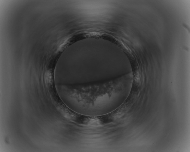 X0000093370715200710111436