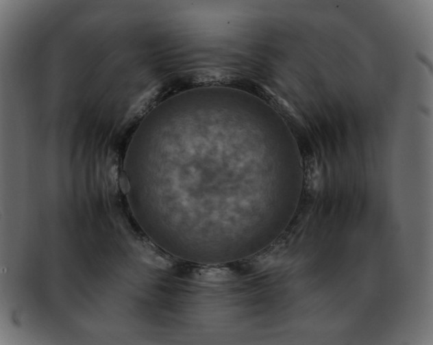 X0000093370716200710111436