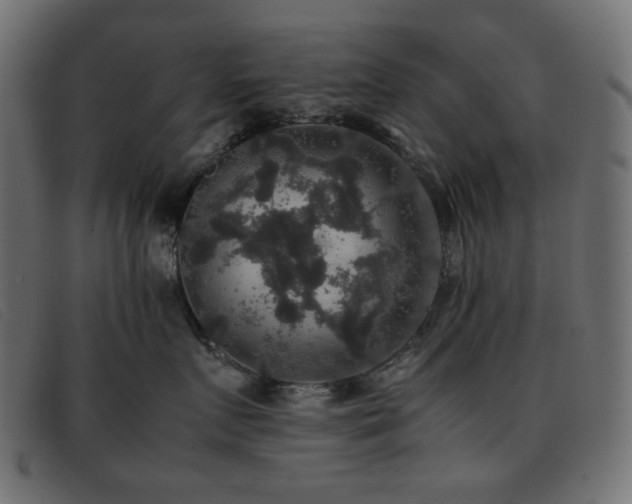 X0000093370719200710111436