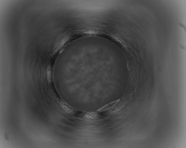 X0000093370720200710111436