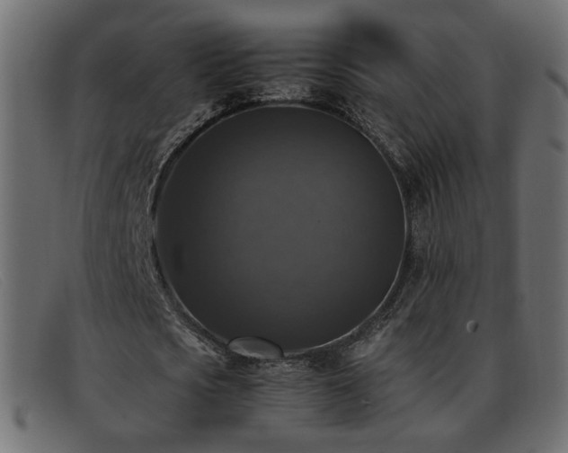X0000093370721200710111436