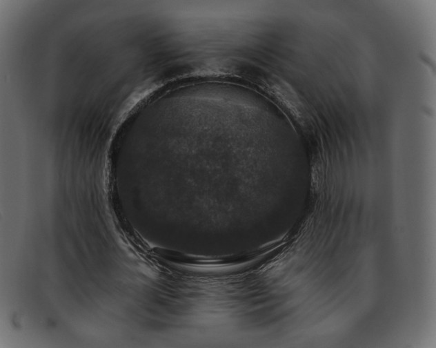 X0000093370724200710111436
