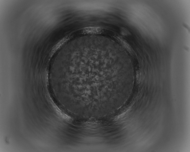 X0000093370725200710111436