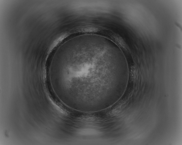 X0000093370726200710111436