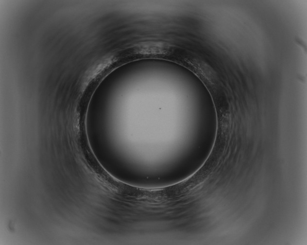 X0000093370727200710111436