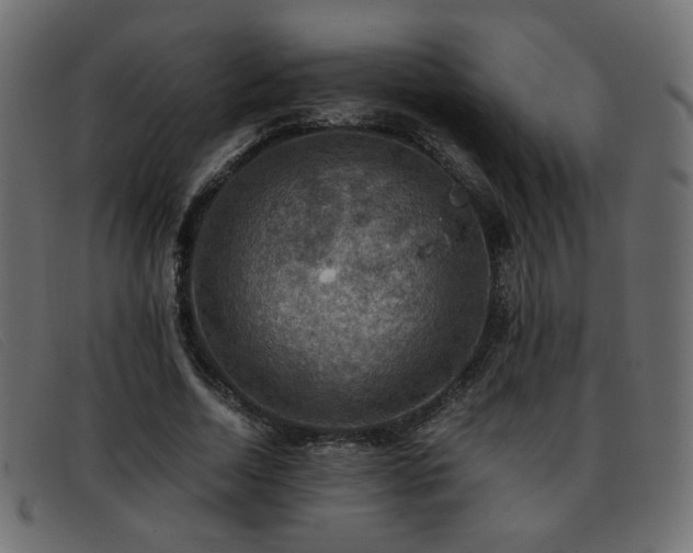 X0000093370730200710111436