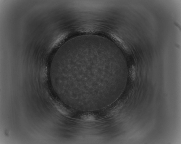 X0000093370735200710111436