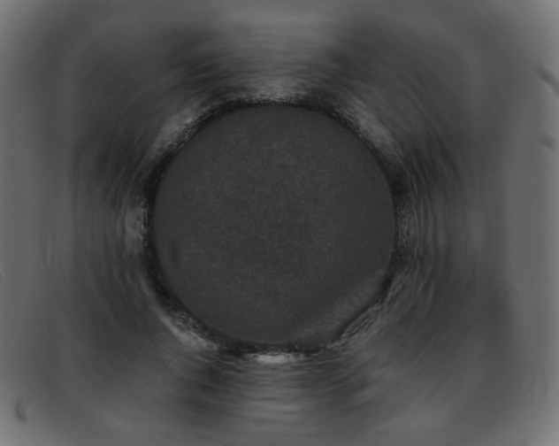 X0000093370736200710111436