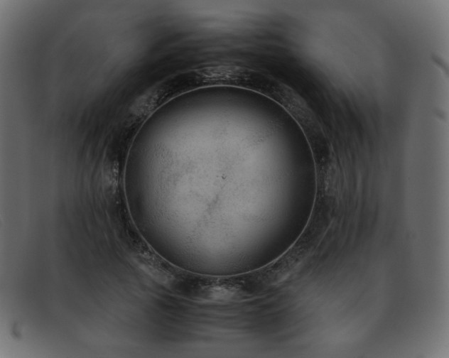 X0000093370737200710111436