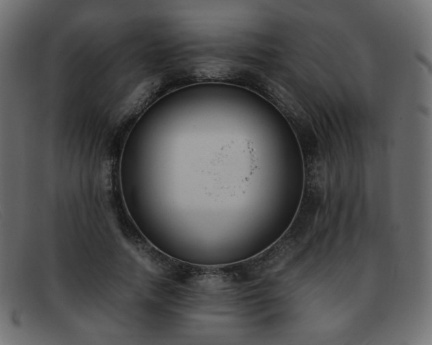 X0000093370738200710111436