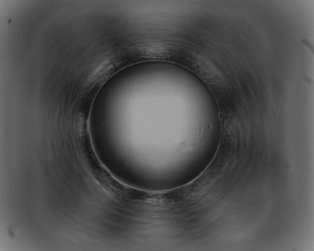 X0000093370744200710111436