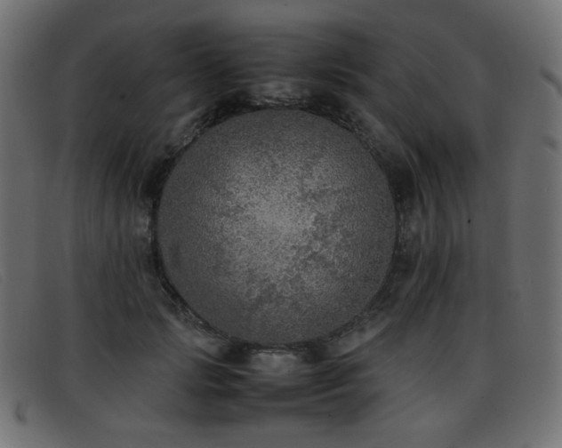 X0000093370749200710111436