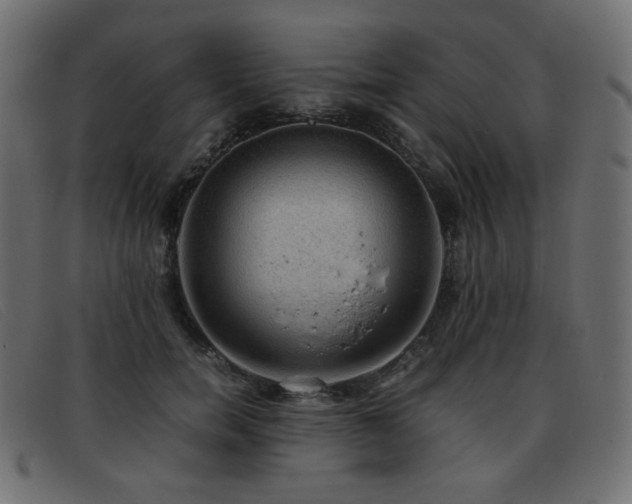 X0000093370750200710111436