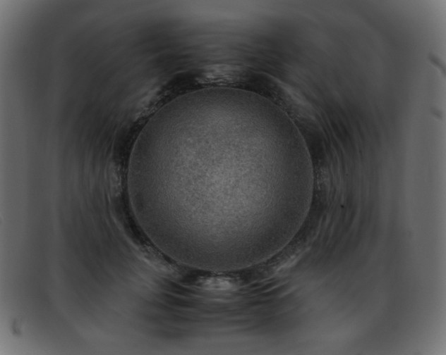 X0000093370751200710111436