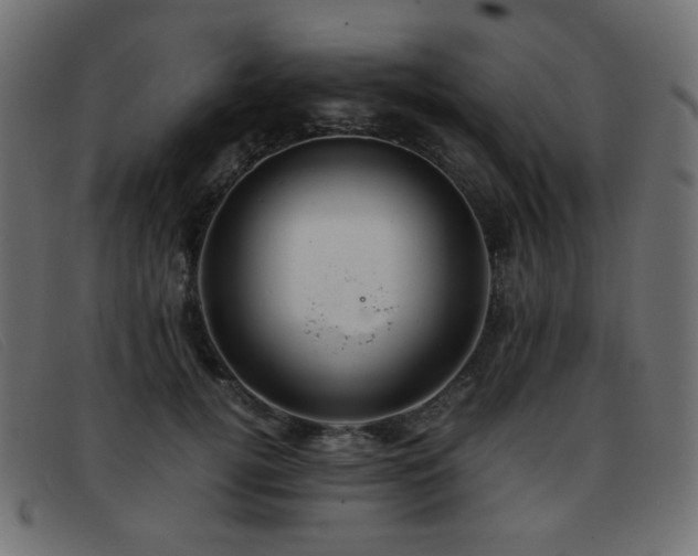 X0000093370752200710111436
