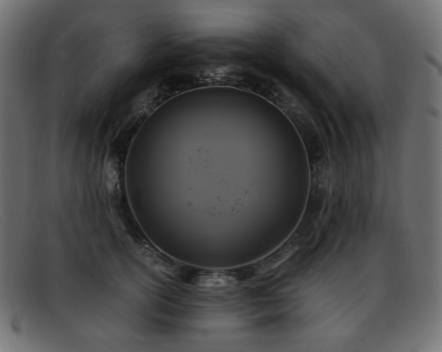 X0000093370754200710111436