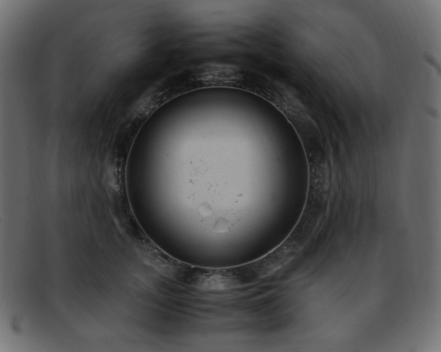 X0000093370755200710111436