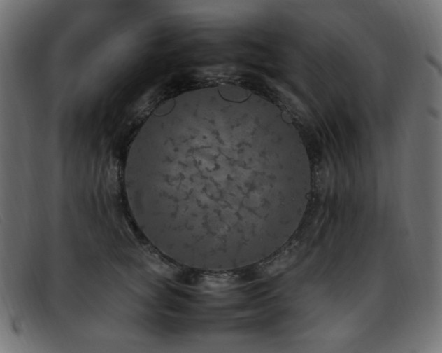 X0000093370757200710111436